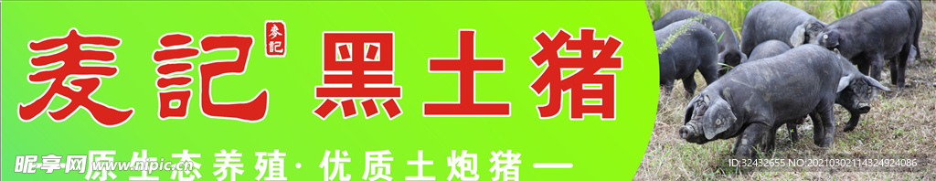 黑土猪广告