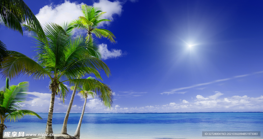 海边椰树背景墙