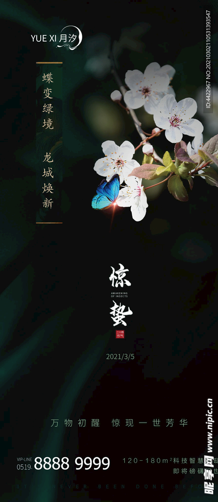 惊蛰海报二十四节气惊蛰