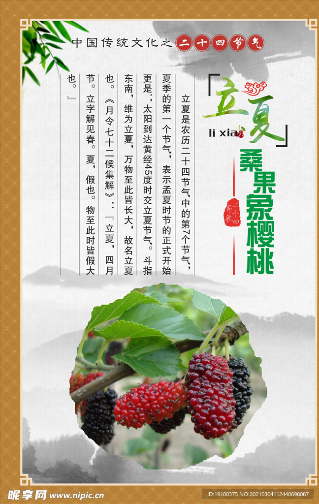 节气展板立夏