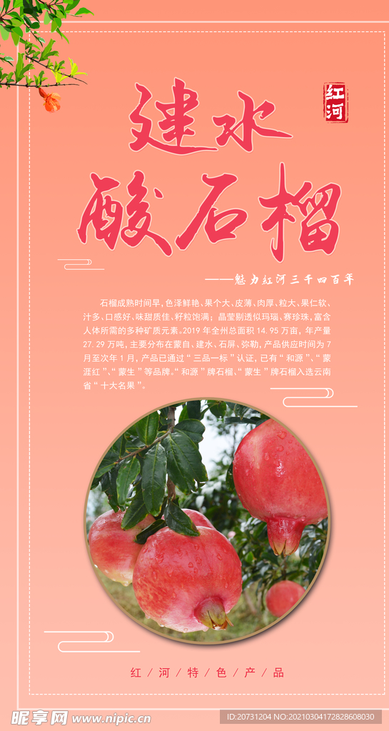 红河建水酸石榴