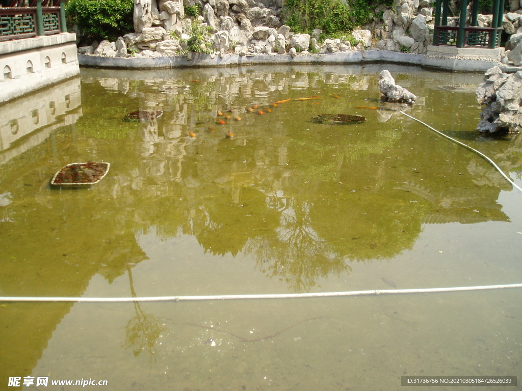 水池