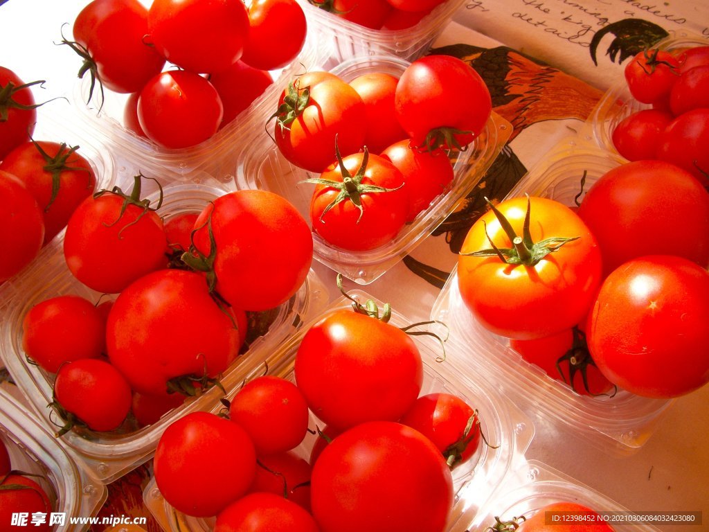 红彤彤的番茄西红柿