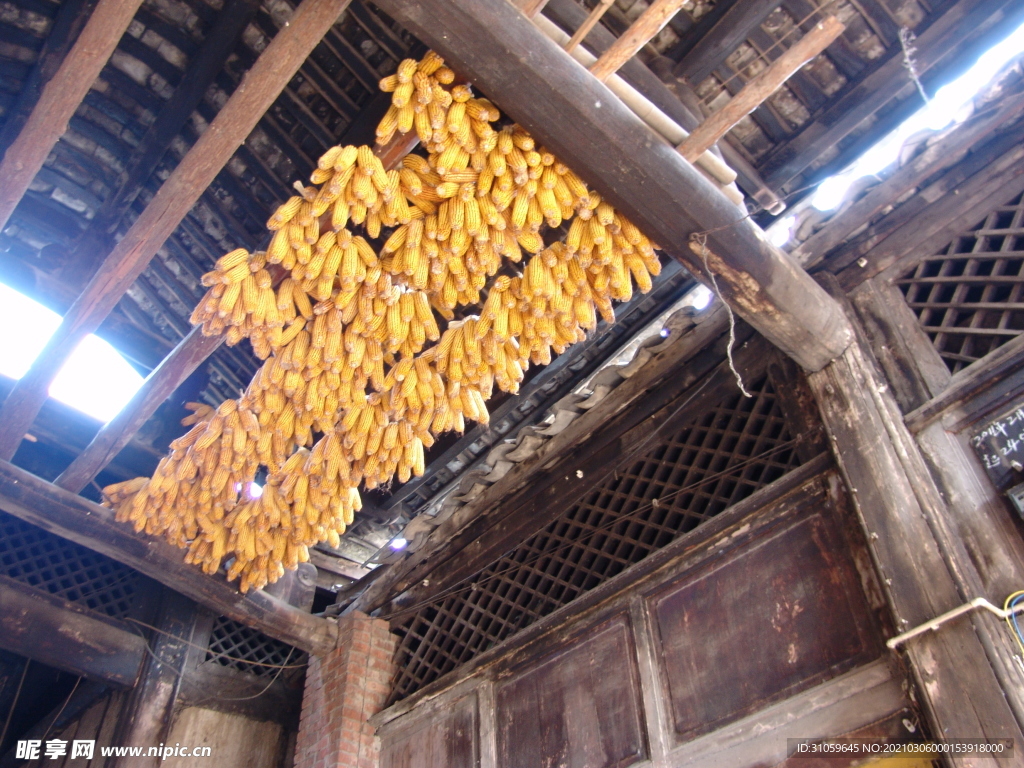 房梁上的苞米