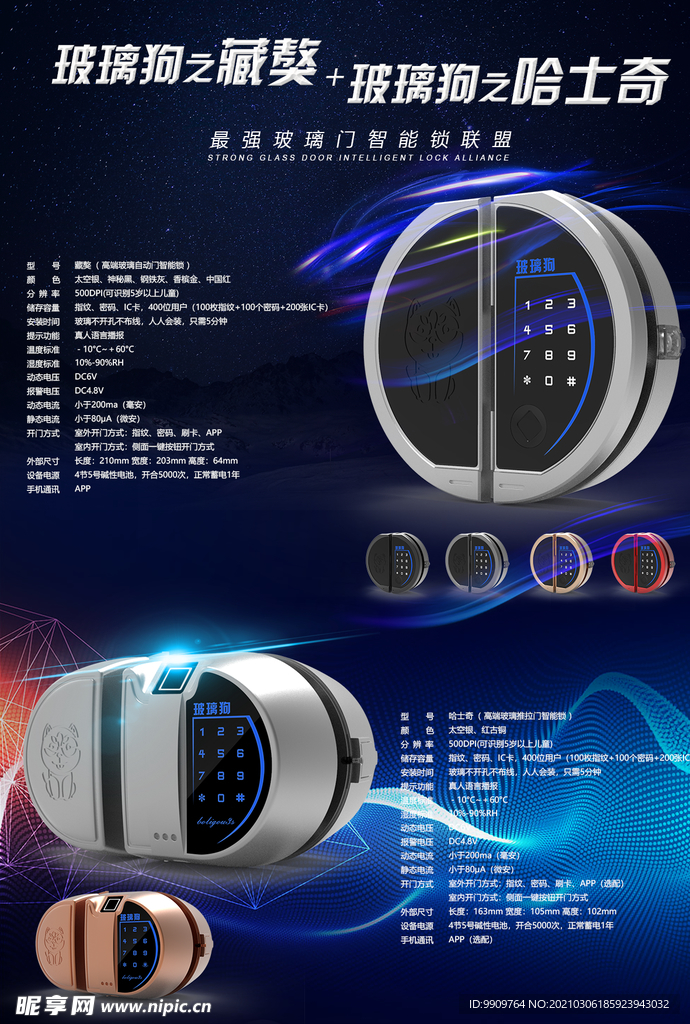 玻璃狗宣传单设计