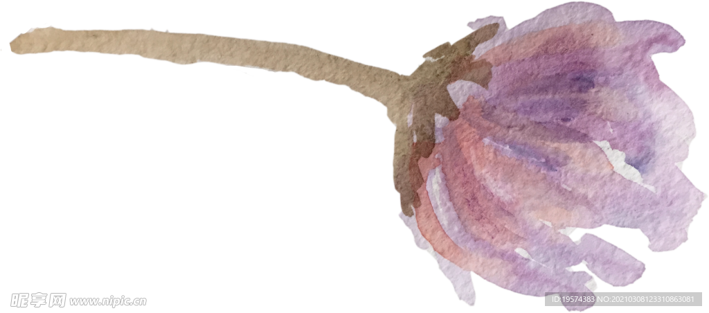 手绘水彩花卉花型花瓣