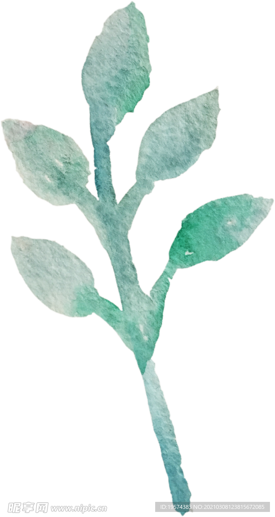 手绘水彩花卉花型花瓣