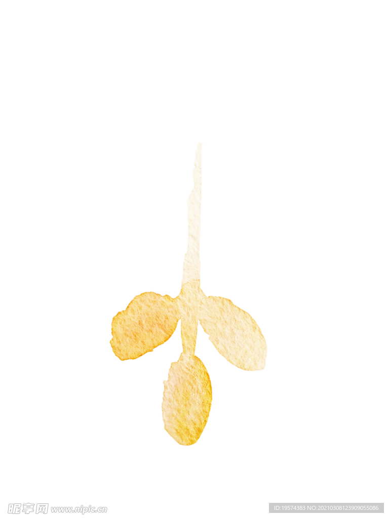 手绘水彩花卉花型花瓣