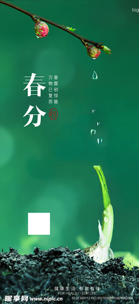 节日 节气 海报