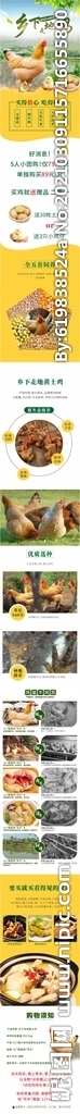 乡下走地鸡详情页