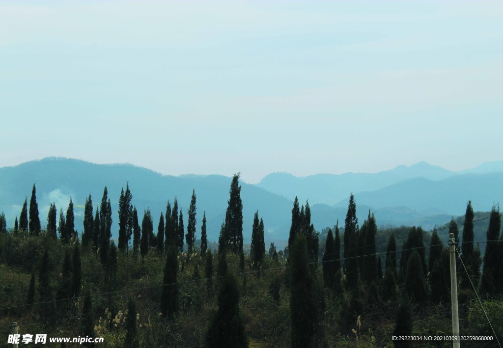 山   山川   树林   树