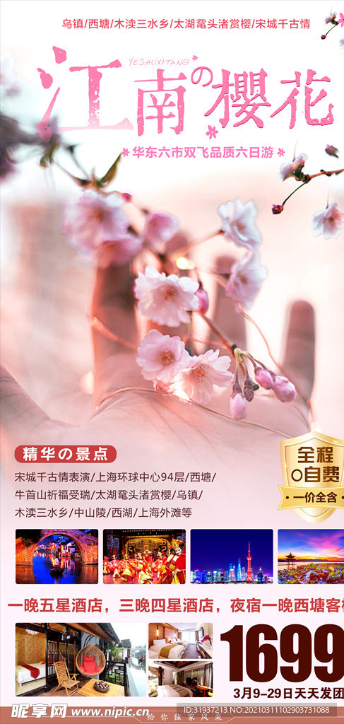 江南樱花旅游海报