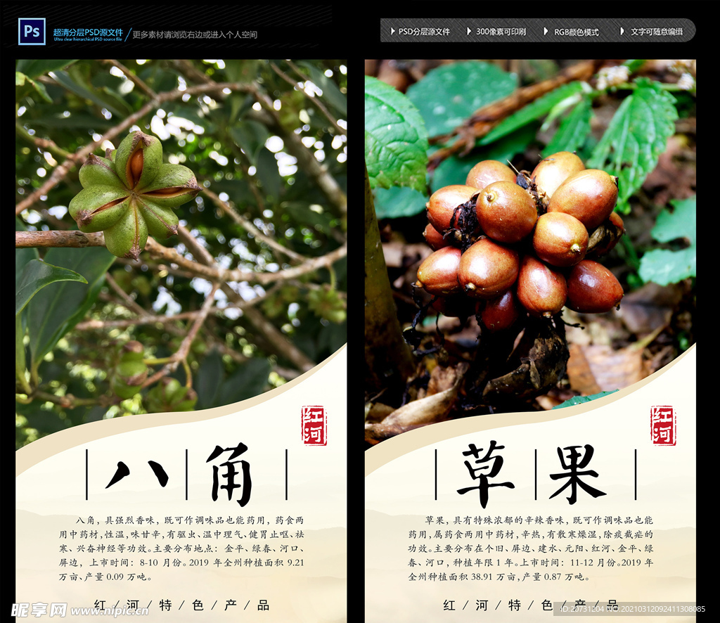 八角草果调料海报