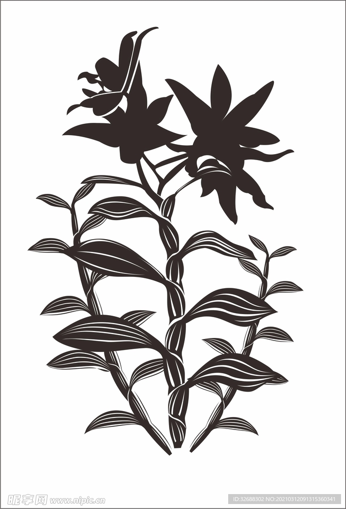 铁皮石斛花 铁皮石斛鲜条