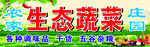 蔬菜水果招牌海报