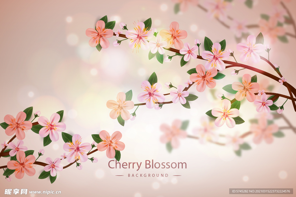 樱花花纹 春天樱花背景 花纹