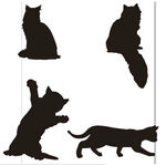 猫剪影