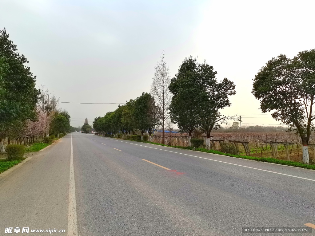 乡村道路风景