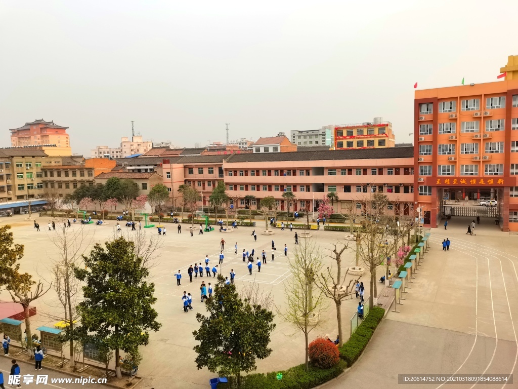 美丽的校园风景