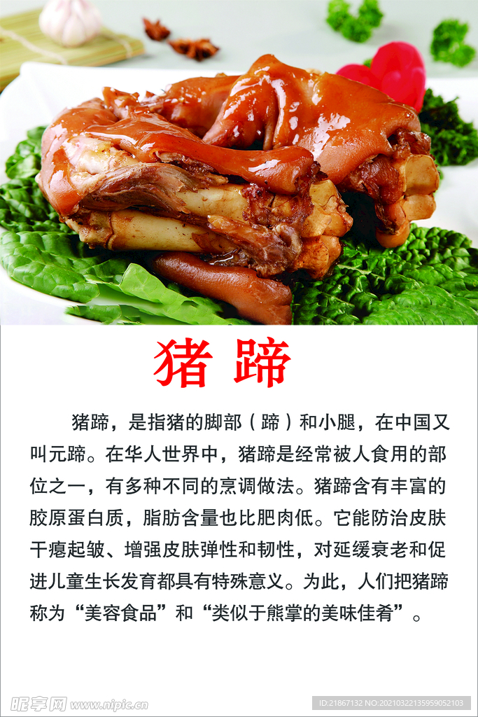 猪蹄简介