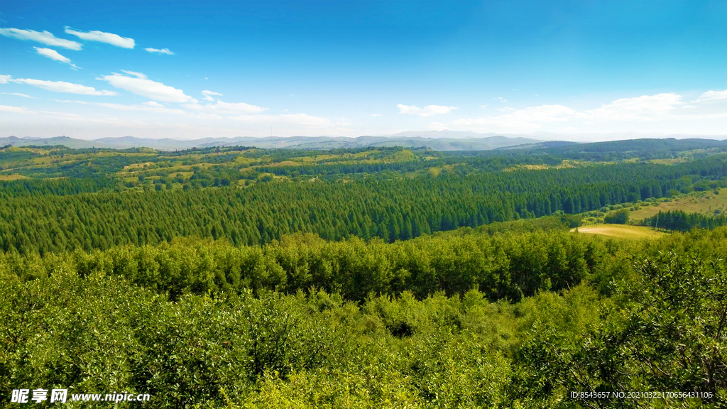 乌兰布统草原观景台远眺