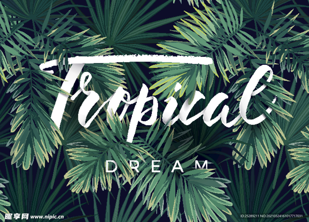 大牌 热带叶子 手绘 背景
