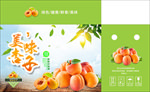 美味杏子包装平面图
