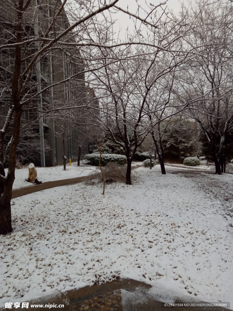 冬天下雪后的园林