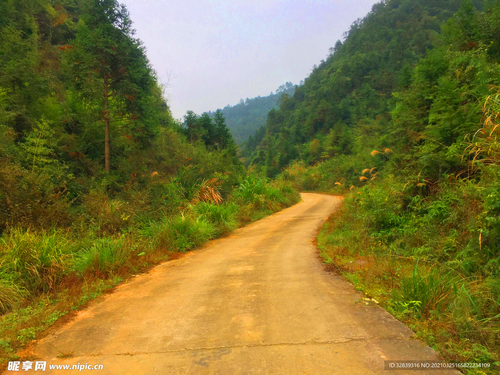 山路弯路自然景观山与路