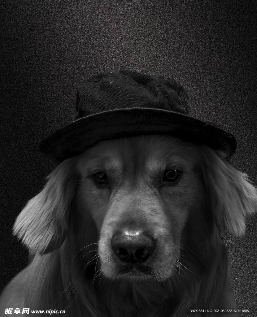 山本耀司的气质