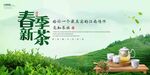 春季新茶
