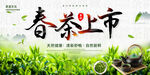 春茶上市