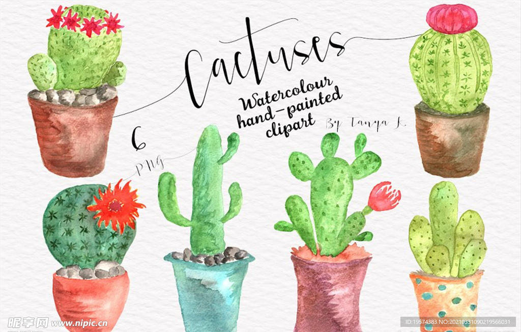 手绘水彩卡通仙人掌