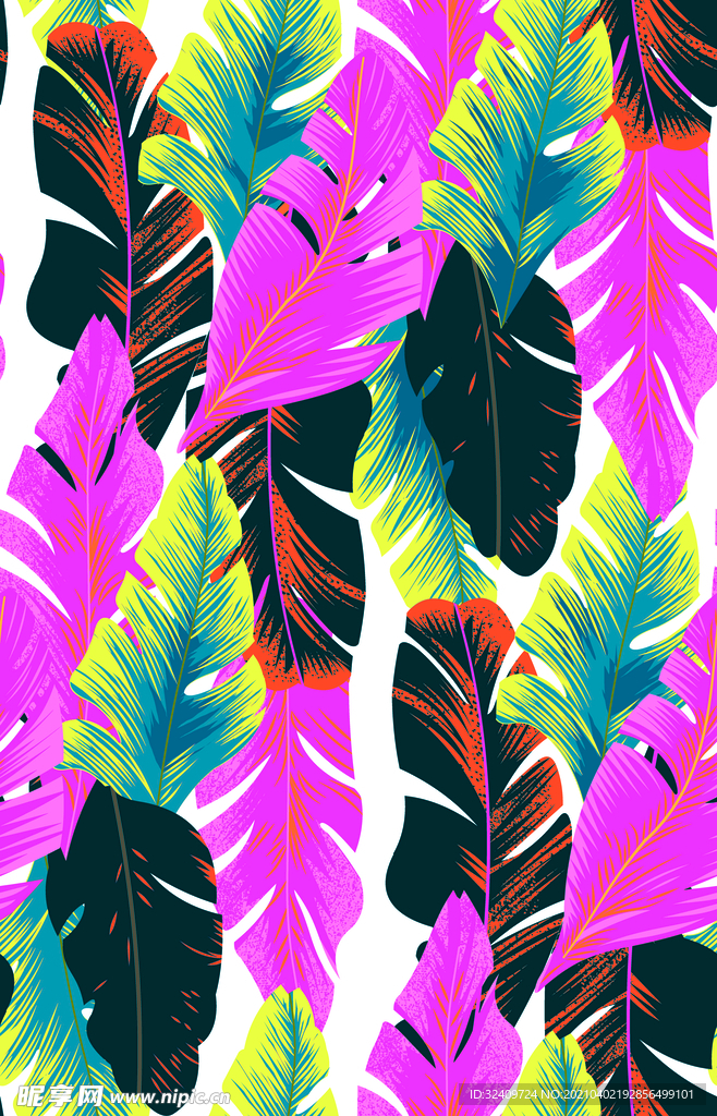 大牌 叶子 热带植物