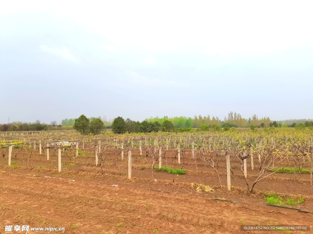 雨天的乡村风景