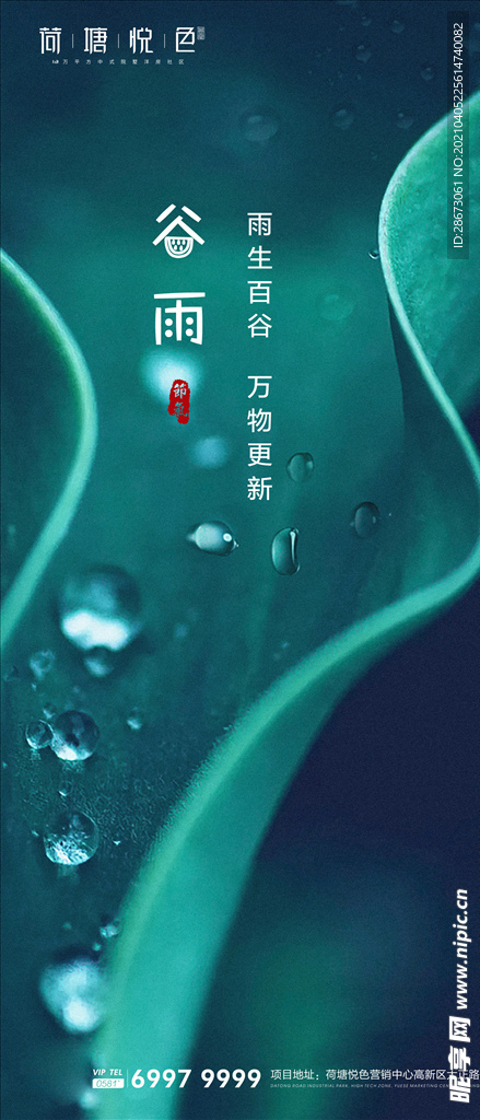 谷雨微信