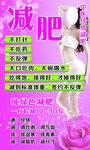 减肥展板