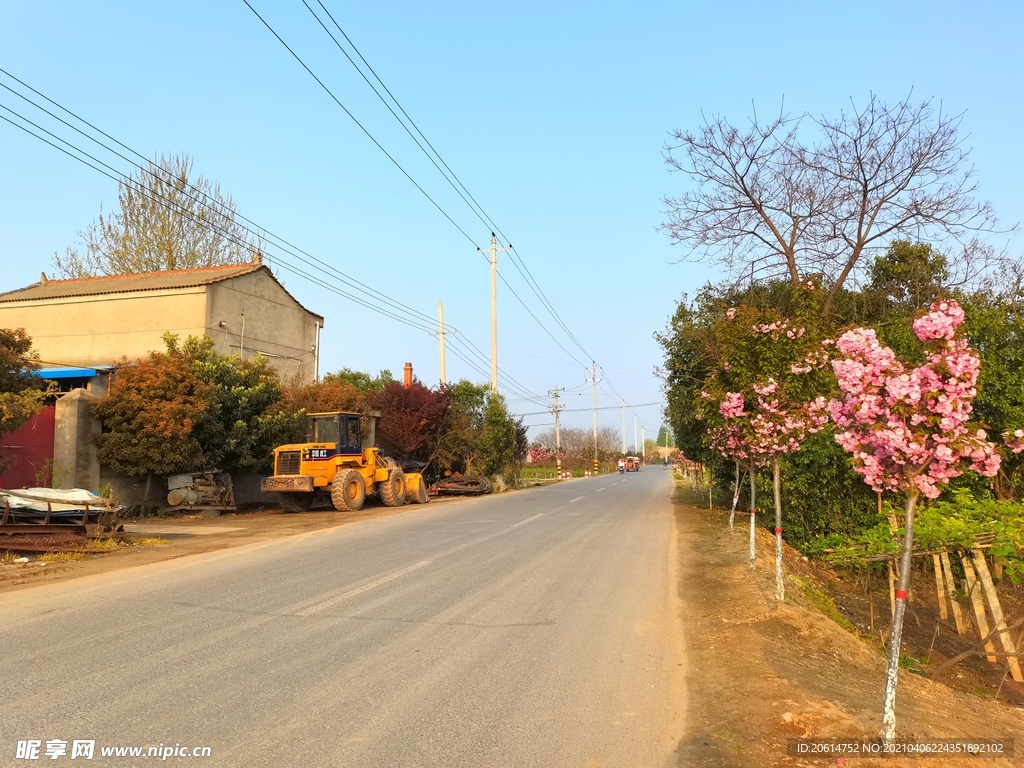 春意浓的乡村美景