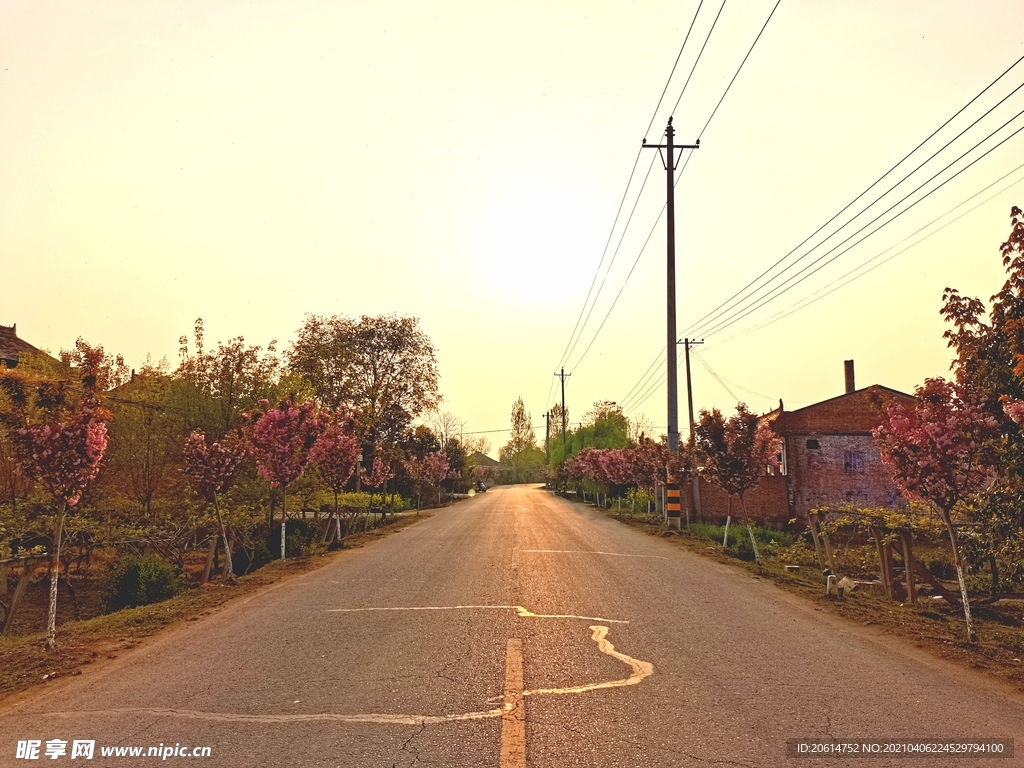日暮下的乡村道路风景