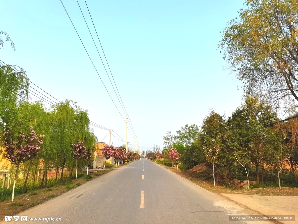 盎然生机的乡村道路风景