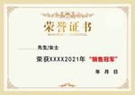 荣誉证书销售冠军