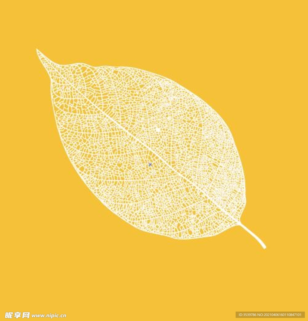 叶子矢量图