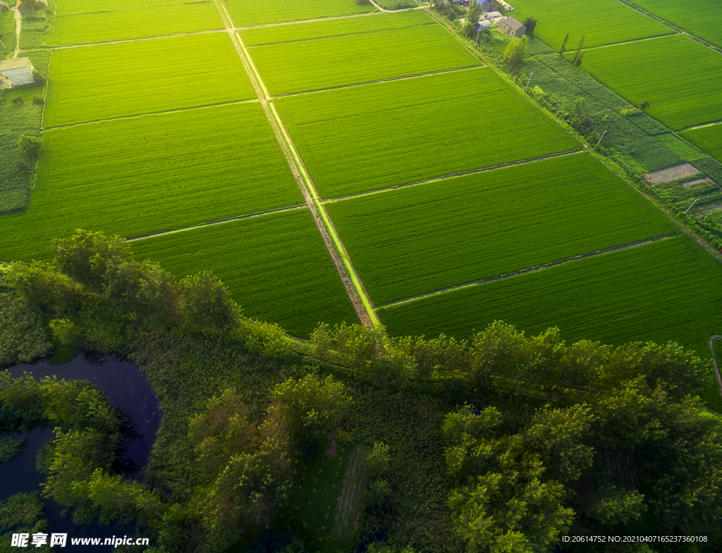 俯视美丽的乡村风景