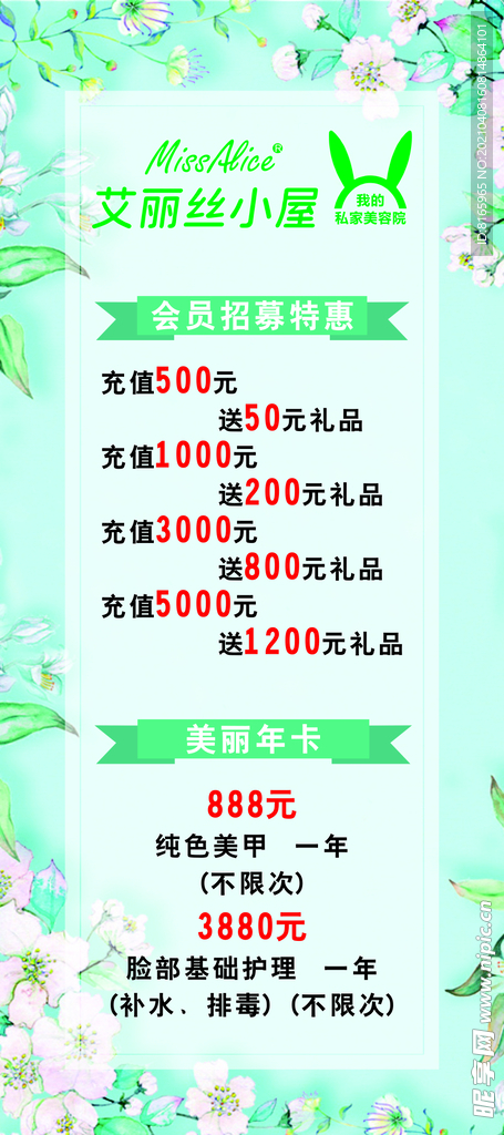 艾丽丝会员招募美丽年卡门型展架