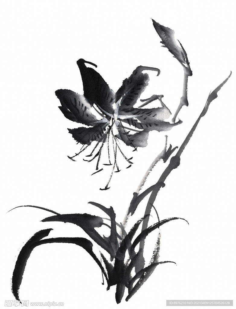 水墨花朵 水墨设计