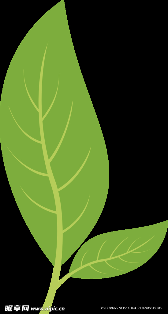 矢量图树叶