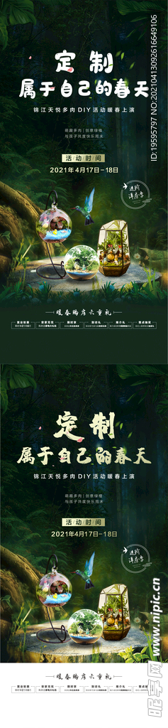 多肉植物 微景观 海报