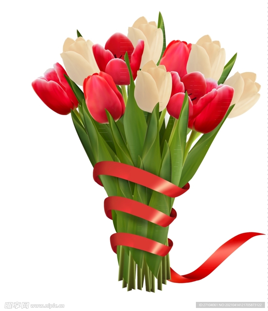 郁金香花束矢量