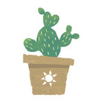 清新插画仙人掌