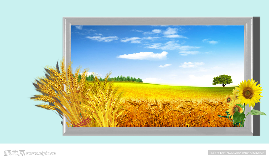 秋收 麦地 稻田 打捆 稻草